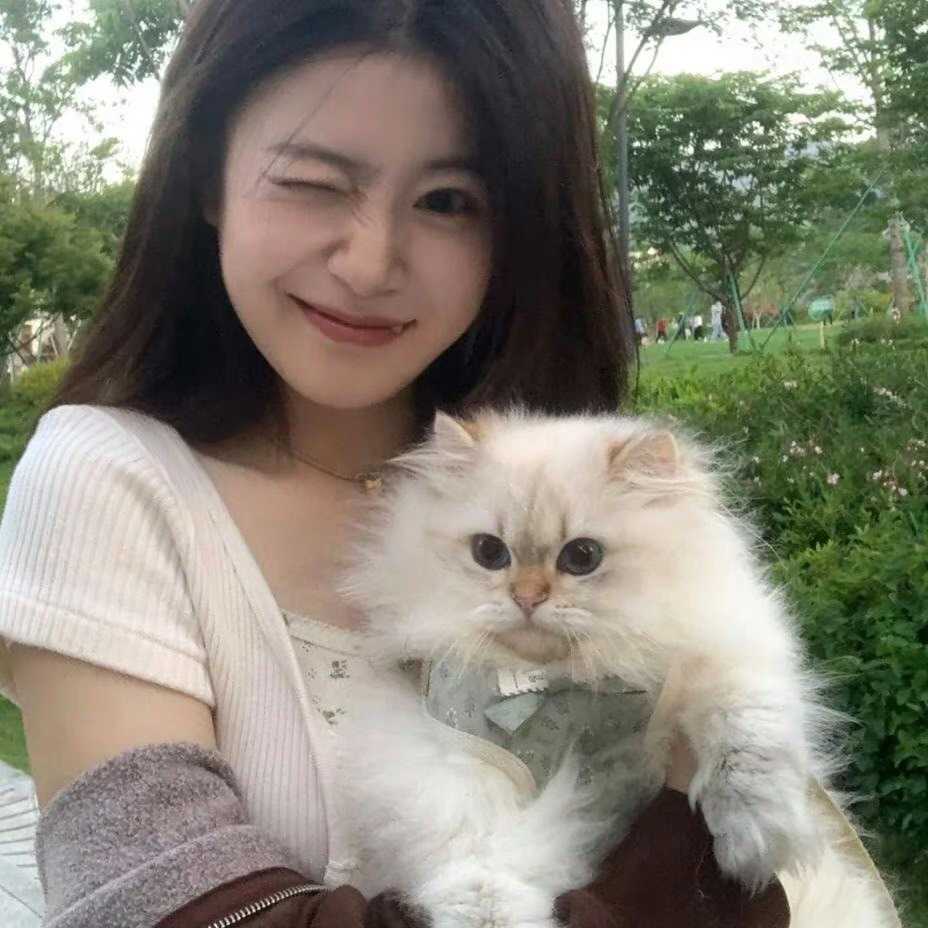 Muzze || Art & History Museum